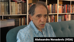 Slobodan Tišma, umetnik, u razgovoru za Glas Amerike, Foto: VOA