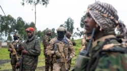 Sango ya Mokili Lelo: Bitumba bingali lisusu kati na M23 na FARDC na Rutshuru