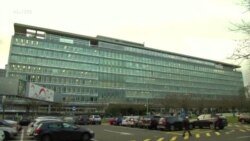 时事大家谈：世卫调查小组敢不敢触及中国敏感神经？