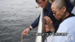 刘晓波生前好友发文称刘霞说“走不了就死家里”