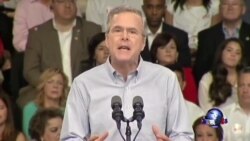 布什家族第三人争取问鼎白宫