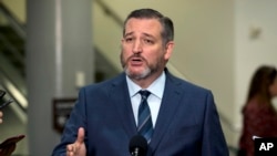 资料照片：联邦参议员克鲁兹在国会对媒体发表讲话（2020年1月23日）