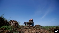 FILE - In this July 2, 2015 photo, a Thai rice farmer plows his rice paddy land in anticipation of rain in Nakhon Ratchasima, Thailand.