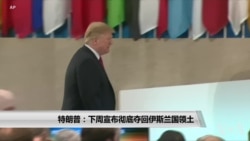 特朗普：下周宣布彻底夺回“伊斯兰国”占据的地盘