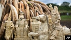 FILE - Confiscated ivory statues stand in front of one of around a dozen pyres of ivory, in Nairobi National Park, Kenya, April 28, 2016. A leading elephant conservation group said Wednesday, March 29, 2017 that the price of ivory in China has dropped as the country moves toward a ban on the legal trade of ivory this year. 