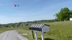 5K (Lima Kilometer): Kebun Bunga "Wild For Wildflowers"