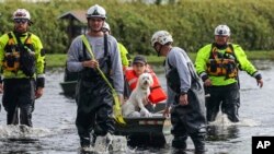 Amy Bishop is evacuated from her home by Pasco County Fire and Rescue and Sheriff's Office teams as waters rise in her neighborhood after Hurricane Milton caused the Anclote River to flood, Oct. 11, 2024, in New Port Richey, Fla. 