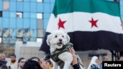 叙利亚首都大马士革，一名女子高举爱犬，和群众庆祝阿萨德家族半世纪的威权统治终于画下句点。(美联社：2024年12月13日)