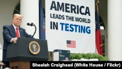 在白宫玫瑰园,美国总统特朗普听取了一名记者的提问(2020年5月11日)。