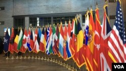 2019年4月3日北约互动论坛上的北约成员国国旗（美国之音黎堡）