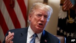 美国总统川普2018年6月21日在华盛顿白宫举行的内阁会议上发表讲话。