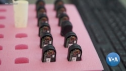 A Small Device with a Big Impact for Blind and Visually Impaired