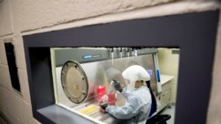 资料照片：美军德特里克堡陆军传染病医学研究所科学家正在做实验。（2020年3月19日）