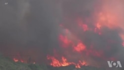 加州野火或将持续到9月 国际援军火线助战