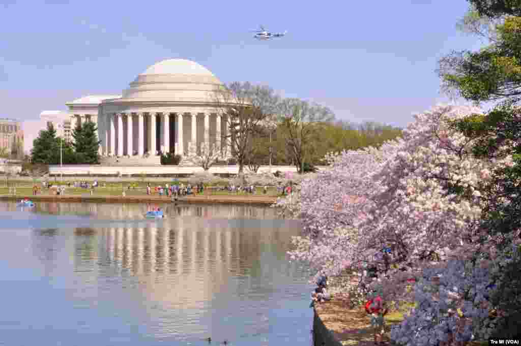 近观杰佛逊纪念堂，在水一方。上空有直升机飞过。有游客写道：&ldquo;空中巡逻直升机时不时飞过，时刻提醒大家，这里是美国的政治核心区，任何人不得造次！ &rdquo;