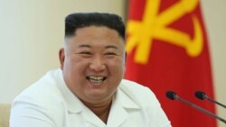 The Sentry esengi bakonzi ya RDC kolongola ba contrats na Corée du Nord