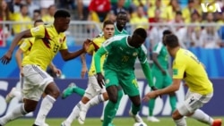 Senegal da Colombia Bitar Wasa