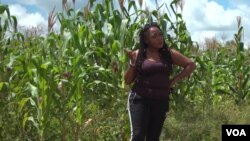 Diana Samkange-Nyazema, penyanyi ternama Zimbabwe yang beralih ke dunia pertanian (courtesy: VOA). 
