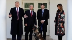 Tramp i drugi zvaničnici predstavljaju Konana, psa koji je učestvovao u akciji ubistva terorističkog lidera Abua Bakra Al Bagdadija