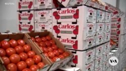 Trump defends need for tariffs on imports from Canada, China, Mexico Trump defends need for tariffs on imports from Canada, China, Mexico