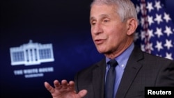 Pakar penyakit menular AS, Dr. Anthony Fauci 