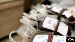 រូប​ឯកសារ៖ កញ្ចប់​ប្លាស្មា​ត្រូវ​បាន​បរិច្ចាគ​ដោយ​ពលរដ្ឋ​កូរ៉េ​ខាង​ត្បូង នៅ​ក្នុង​ក្រុង​សេអ៊ូល ប្រទេស​កូរ៉េខាងត្បូង។ 