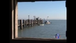 走进美国:圣帕布罗湾的老人与海