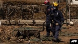 Članovi tima za pretragu i oporavak rade sa psom tragačem dok proveravaju ugljenisane zgrade i automobile posle požara na Mauiju, u Lahaini, 18. avgusta 2023.
