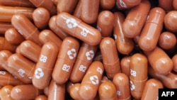Molnupiravir, obat antivirus produksi Merck & Co,Inc. . (Handout / Merck & Co,Inc. / AFP)