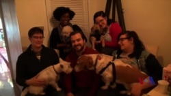 让狗吃好：走进爱犬咖啡店