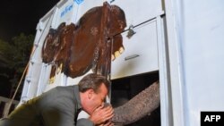 Kaavan the Asian elephant is greeted upon his arrival at his new home in the Kulen Prom Tep Wildlife Sanctuary in Oddar Meanchey Province on Nov. 30, 2020, after he was welcomed by US pop singer Cher earlier in the day in Siem Reap upon his arrival. 