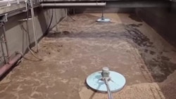 追踪新冠另辟蹊径 城市污水暗藏玄机