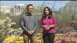 Sopan Santun Dalam Komunikasi Politik AS