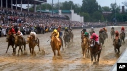 在肯塔基州路易斯维尔的“肯塔基德比”赛马中,路易斯·塞兹骑着“最高安全”第一个冲过终点线。裁判后来宣布“最高安全”越道犯规,取消了它的成绩。(2019年5月4日)