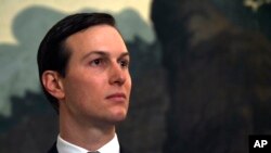 白宫高级顾问库什纳