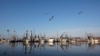 Idle shrimp boats float at the docks of Joshua's Marina in Buras, Louisiana, May 17, 2010. 