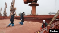 资料照片:中国江苏南通港的海关官员在检查美国运来的高粱。（2020年2月11日）