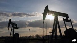 Sebuah pompa angguk tengah mengekstraksi minyak mentah di lapangan minyak tua di Emlichheim, Jerman, 18 Maret 2022. (Foto: AP)