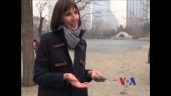 李阳妻子因受虐推动中国家暴防治法