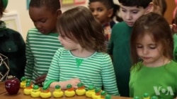 奈史密斯学校——昂贵的学生乌托邦