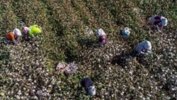 中国因“涉疆谣言”起诉德国学者 是新策略还是作秀？