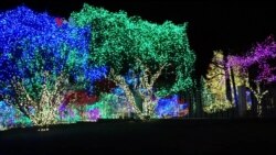 5K (Lima Kilometer): Festival Lampu di Kota Silver Spring