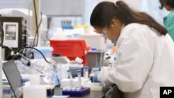 A researcher at Protein Sciences works in a lab, March 12, 2020, in Meriden, Conn. The biotech company is currently researching a vaccine for COVID-19. 