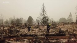 美国西部野火继续肆虐 成为总统竞选焦点