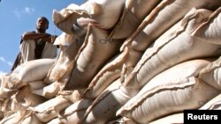 Seorang pegawai pemerintah duduk di karung gandum yang disumbangkan oleh AS di pusat distribusi makanan dekat Jijiga, Ethiopia timur, 1 Desember 2009. (Foto: dok. Reuters)