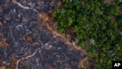 Area yang terbakar di hutan hujan Amazon terlihat di Prainha, negara bagian Para, Brazil. (Foto: AP)