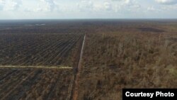 Lahan yang terbakar di lokasi PT APSL2, Riau (Foto courtesy: KLHK)