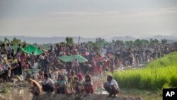 新抵达孟加拉国的缅甸罗兴亚穆斯林