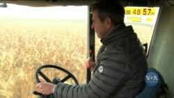 Західні інвестори відновлюють свій інтерес до України: які галузі їх цікавлять? Відео Західні інвестори відновлюють свій інтерес до України: які галузі їх цікавлять? Відео