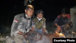 Tim Wildlife Rescue BKSDA Kalimantan Tengah bersama Orangutan Foundation International (OFI) menyelamatkan satu individu orangutan di Kotawaringin Barat, 19 September 2019. (Foto: BKSDA Kalteng)